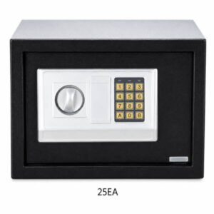 25EA Electronic Safe
