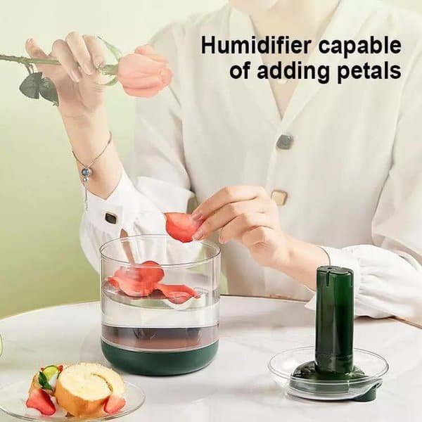 Cool Mist Air Humidifier