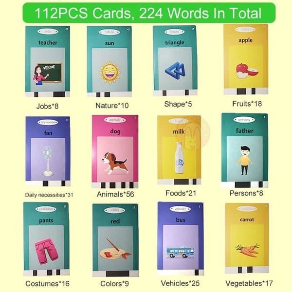 Talking Flash Cards