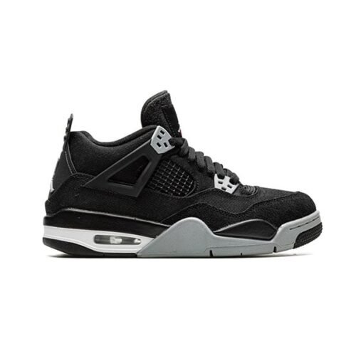 Jordan 4 Canvas