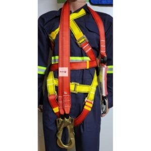Safety Harness With Double Lanyard
