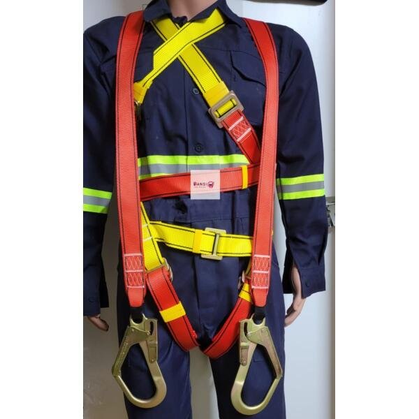 Safety Harness With Lanyard
