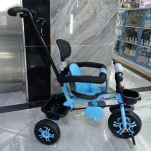Push Tricycle With Side Bar
