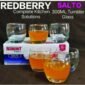 Redberry Salto Glass Tumbler 300ml