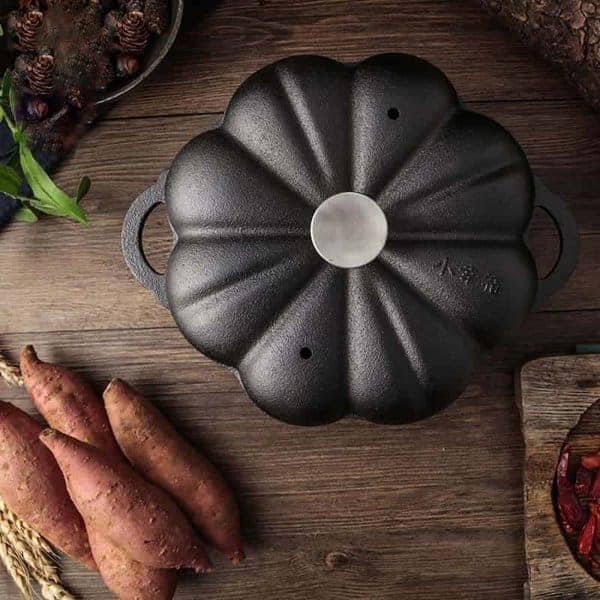 Roasting Cast Iron Pot