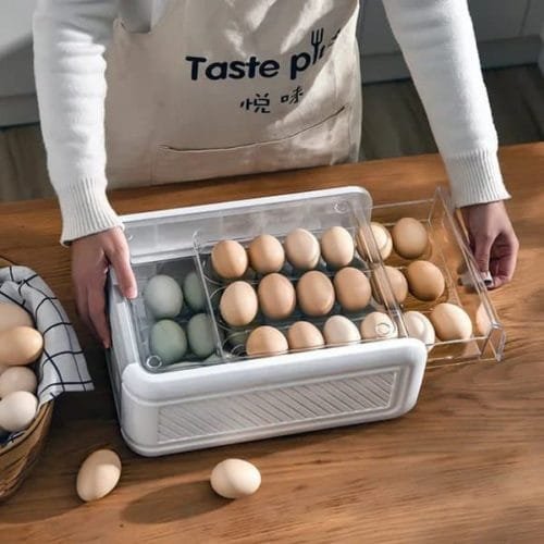 Eggs Tray