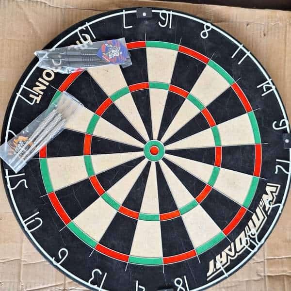 Professional Dart Board