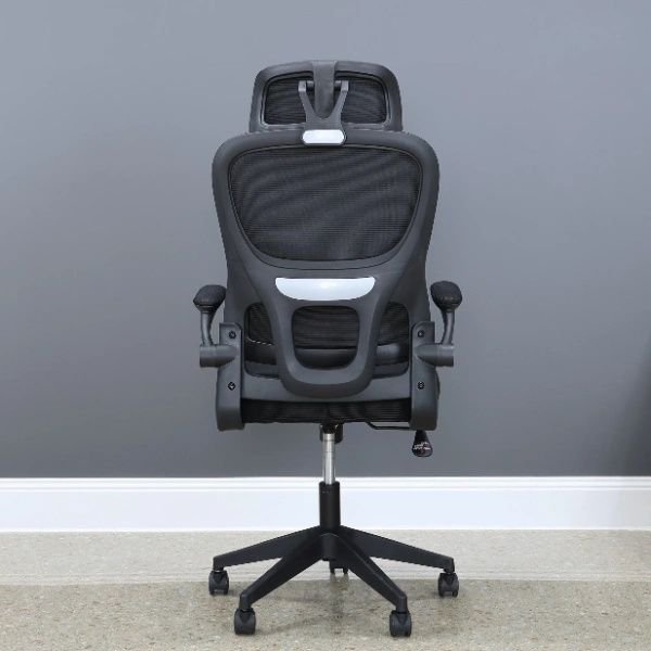 Orthopedic Office Ergonomic Chair