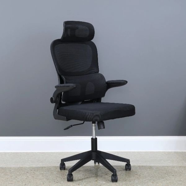 Orthopedic Office Ergonomic Chair