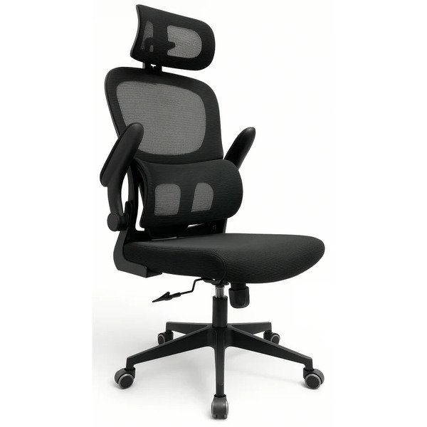 Orthopedic Office Ergonomic Chair