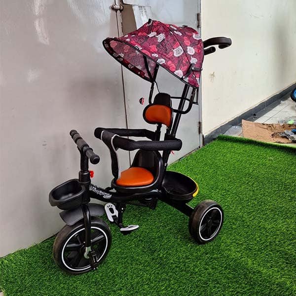 Baby Tricycle With Canopy