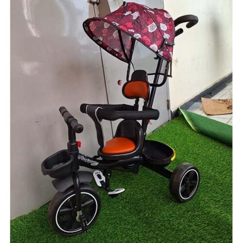 Baby Tricycle With Canopy