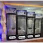 Roch Vertical Showcase Refrigerator 329 Litres